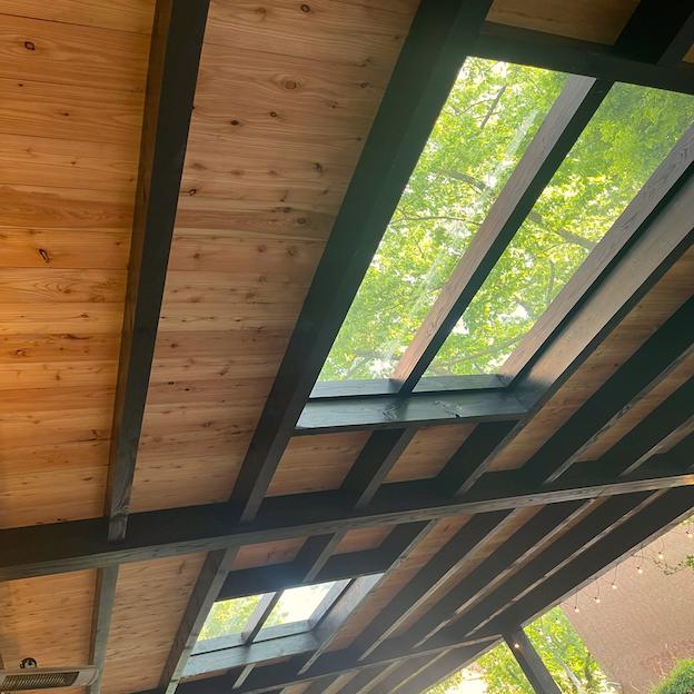 Modern black Douglas canopy featuring an integrated glass roof skylight