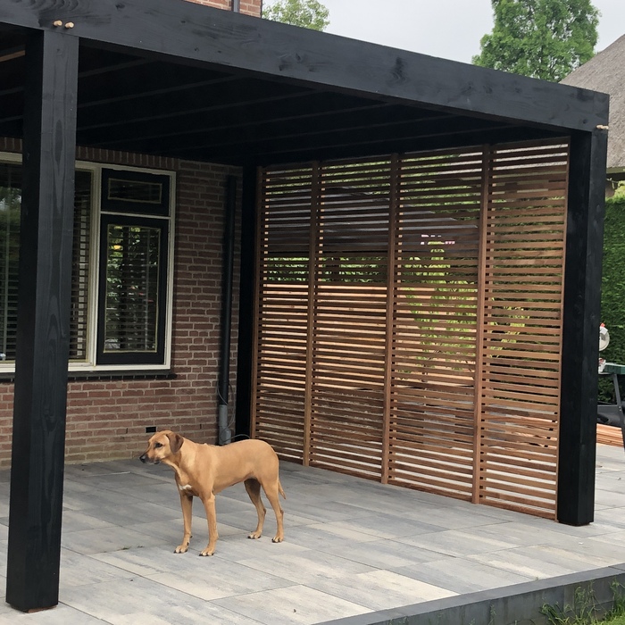 Modern canopy in black