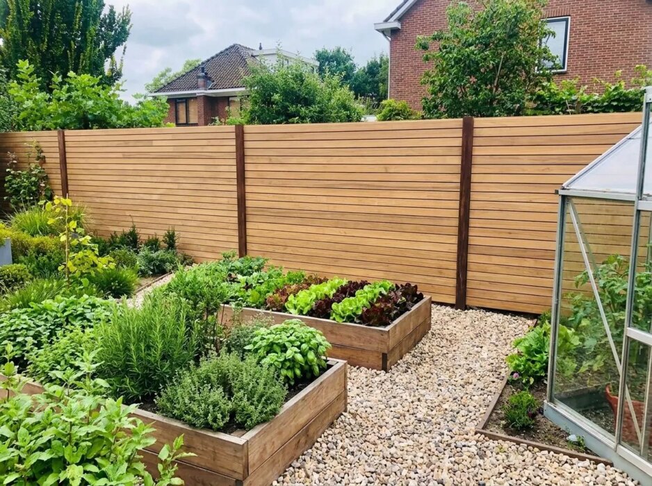 Teak fence with 7 cm slats behind raised vegetable beds and a greenhouse