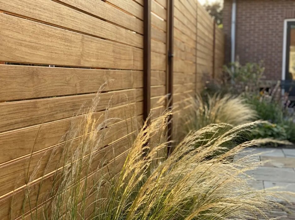 Close-up of wide 9 cm teak slats with ornamental grass in evening sun