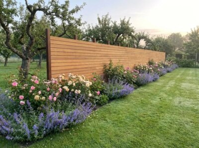 Teak fence with 9 cm slats in a country garden with roses and fruit trees