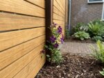 Close-up of 7 cm teak slats at an azobe post with clematis