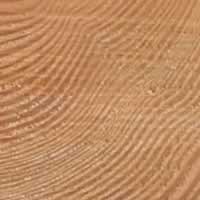 Premium Douglas Fir <rb> (robust & reliable).